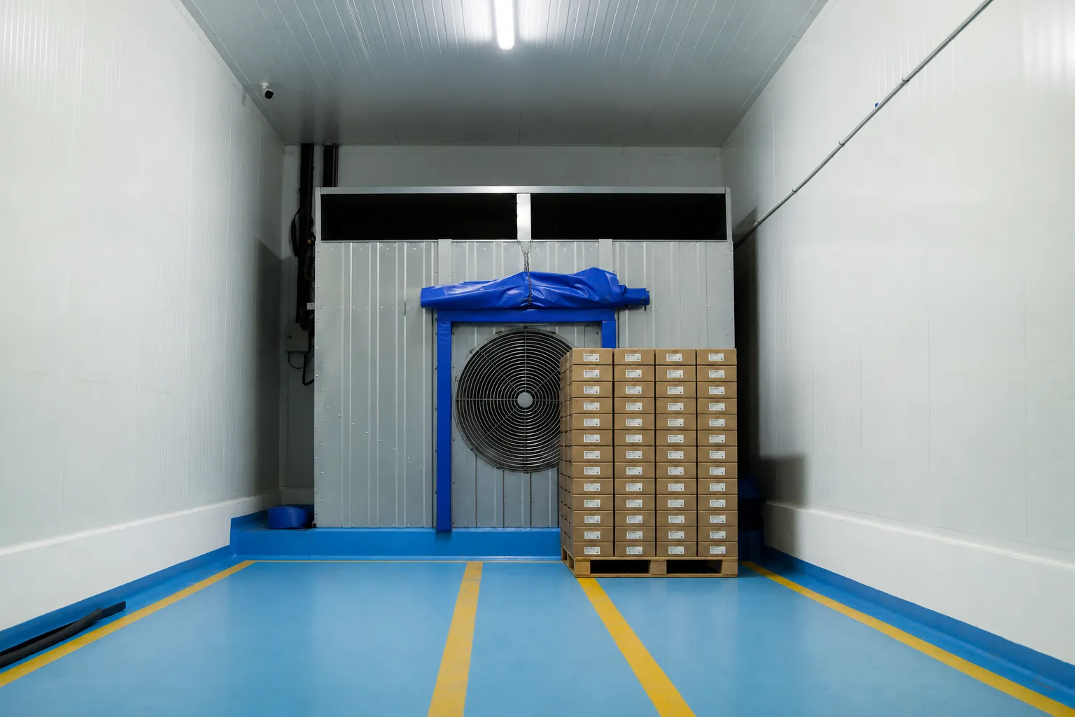 Boxes of fruit in front of the fan of a forced-air precooling tunnel at the Bonum plant.